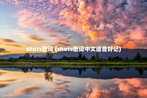 shots歌词 (shots歌词中文谐音好记)