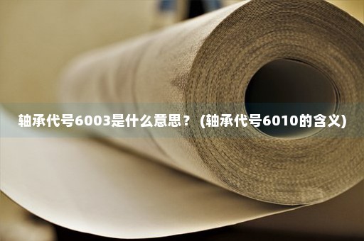 轴承代号6003是什么意思？ (轴承代号6010的含义)