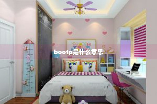 bootp是什么意思