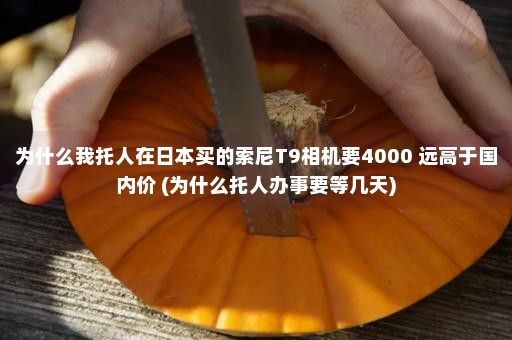 为什么我托人在日本买的索尼T9相机要4000 远高于国内价 (为什么托人办事要等几天)