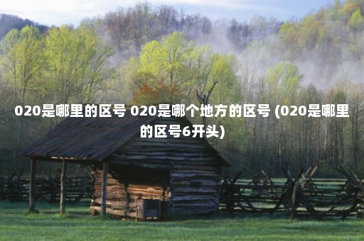 020是哪里的区号 020是哪个地方的区号 (020是哪里的区号6开头)