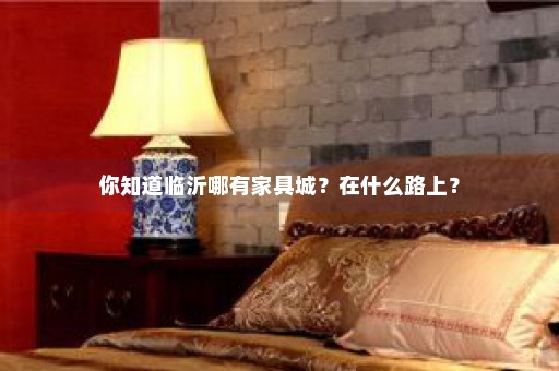 你知道临沂哪有家具城？在什么路上？