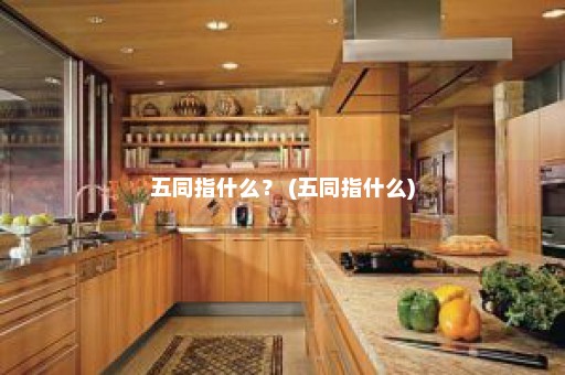 五同指什么？ (五同指什么)