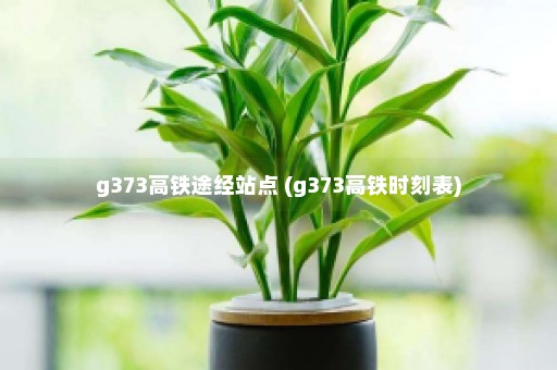 g373高铁途经站点 (g373高铁时刻表)