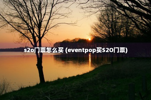 s2o门票怎么买 (eventpop买S2O门票)