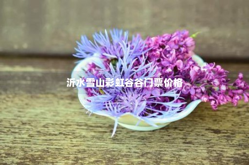 沂水雪山彩虹谷谷门票价格