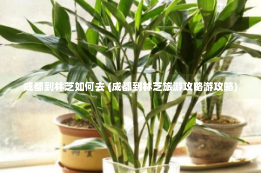 成都到林芝如何去 (成都到林芝旅游攻略游攻略)