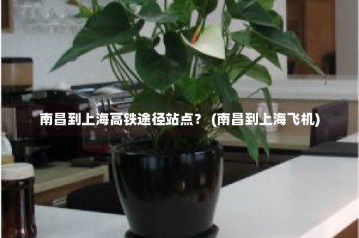 南昌到上海高铁途径站点？ (南昌到上海飞机)