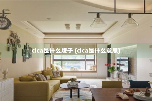 cica是什么牌子 (cica是什么意思)