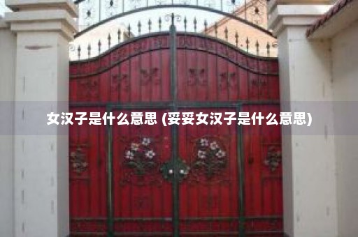 女汉子是什么意思 (妥妥女汉子是什么意思)