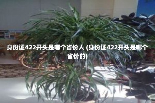 身份证422开头是哪个省份人 (身份证422开头是哪个省份的)