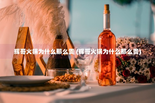 辉哥火锅为什么那么贵 (辉哥火锅为什么那么贵)