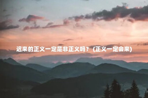 迟来的正义一定是非正义吗？ (正义一定会来)