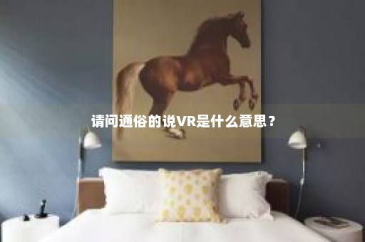 请问通俗的说VR是什么意思？