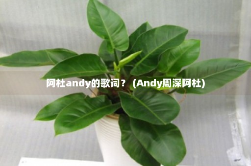 阿杜andy的歌词？ (Andy周深阿杜)