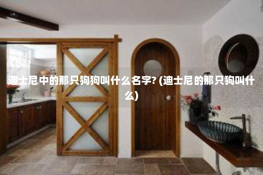 迪士尼中的那只狗狗叫什么名字? (迪士尼的那只狗叫什么)