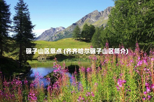 碾子山区景点 (齐齐哈尔碾子山区简介)