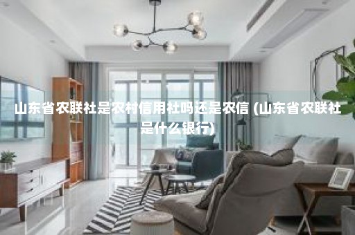 山东省农联社是农村信用社吗还是农信 (山东省农联社是什么银行)