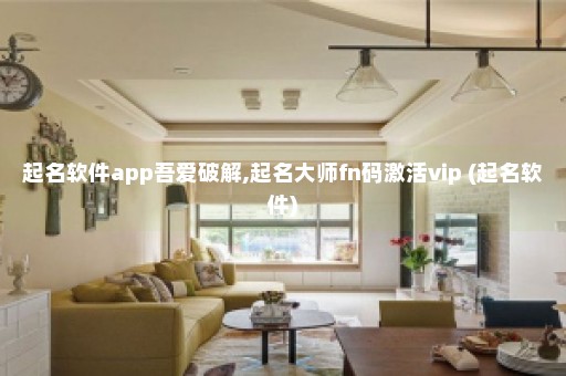 起名软件app吾爱破解,起名大师fn码激活vip (起名软件)