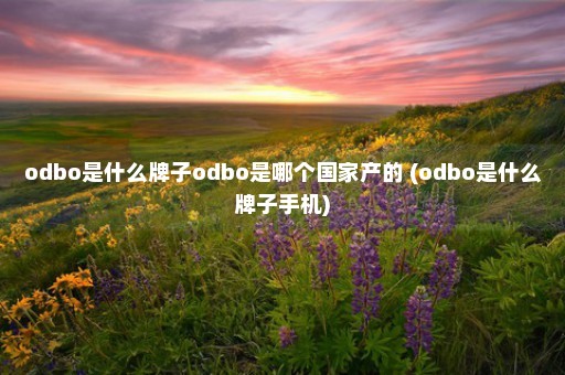 odbo是什么牌子odbo是哪个国家产的 (odbo是什么牌子手机)