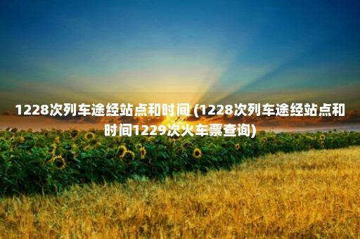 1228次列车途经站点和时间 (1228次列车途经站点和时间1229次火车票查询)