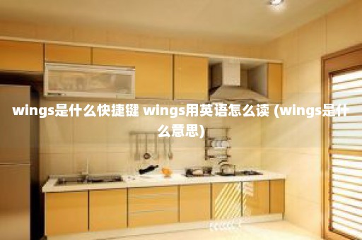 wings是什么快捷键 wings用英语怎么读 (wings是什么意思)