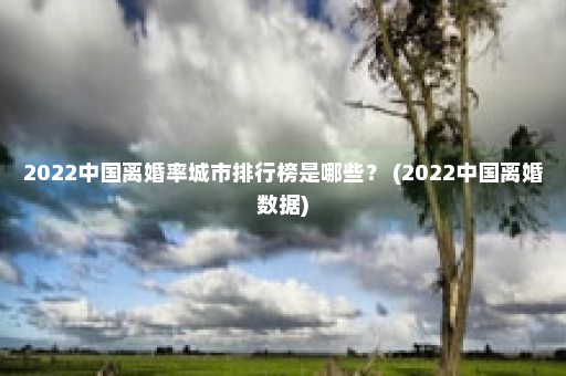 2022中国离婚率城市排行榜是哪些？ (2022中国离婚数据)