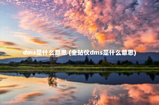 dms是什么意思 (全站仪dms是什么意思)