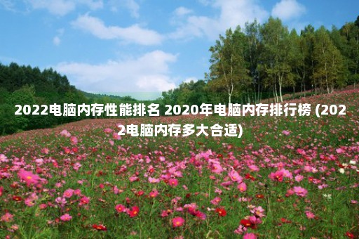 2022电脑内存性能排名 2020年电脑内存排行榜 (2022电脑内存多大合适)