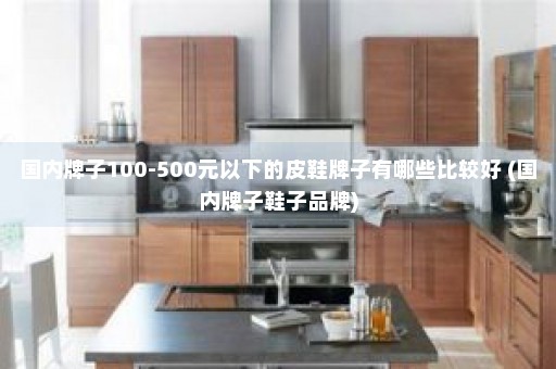 国内牌子100-500元以下的皮鞋牌子有哪些比较好 (国内牌子鞋子品牌)