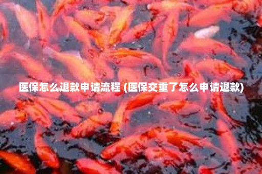 医保怎么退款申请流程 (医保交重了怎么申请退款)