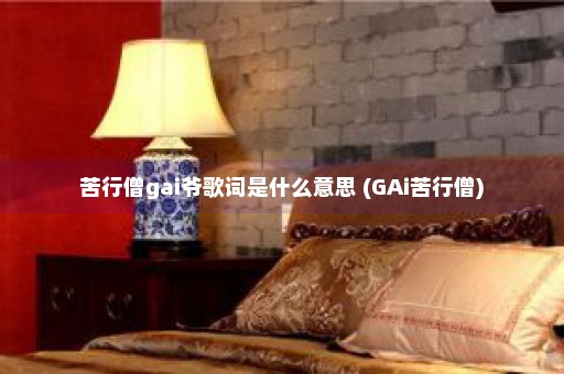 苦行僧gai爷歌词是什么意思 (GAi苦行僧)