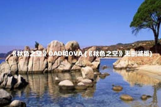 《秋色之空》OAD和OVA (《秋色之空》无删减版)