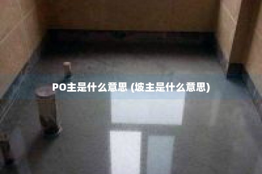 PO主是什么意思 (坡主是什么意思)