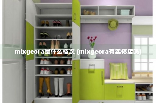 mixgeora是什么档次 (mixgeora有实体店吗)