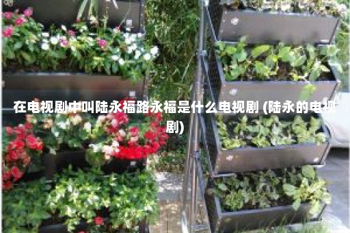 在电视剧中叫陆永福路永福是什么电视剧 (陆永的电视剧)