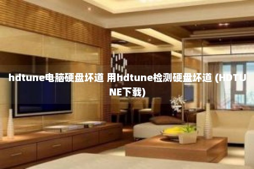 hdtune电脑硬盘坏道 用hdtune检测硬盘坏道 (HDTUNE下载)