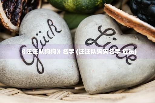 《汪汪队狗狗》名字 (汪汪队狗狗名字 成员)