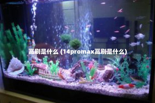 高刷是什么 (14promax高刷是什么)