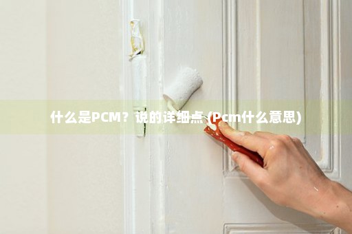 什么是PCM？说的详细点 (Pcm什么意思)