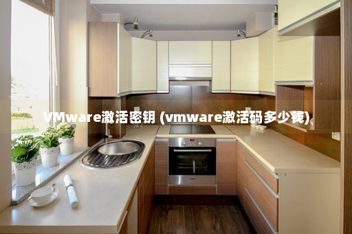 VMware激活密钥 (vmware激活码多少钱)