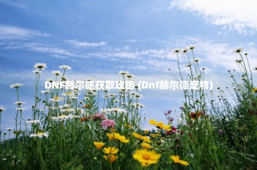 DNF赫尔德获取攻略 (Dnf赫尔德宠物)