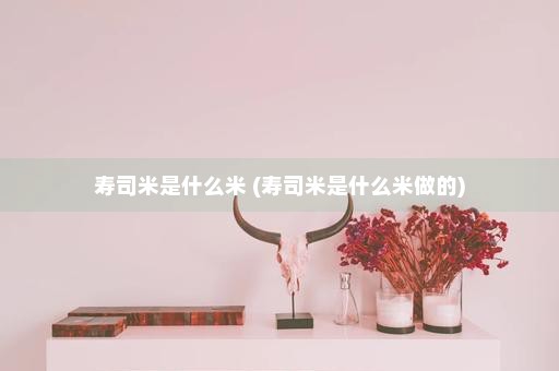 寿司米是什么米 (寿司米是什么米做的)