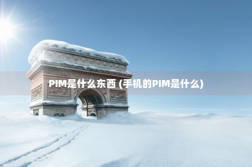 PIM是什么东西 (手机的PIM是什么)