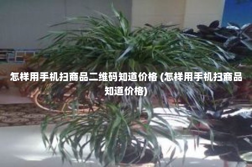 怎样用手机扫商品二维码知道价格 (怎样用手机扫商品知道价格)