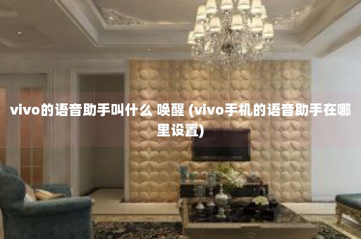 vivo的语音助手叫什么 唤醒 (vivo手机的语音助手在哪里设置)