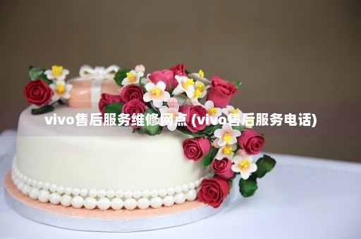 vivo售后服务维修网点 (vivo售后服务电话)