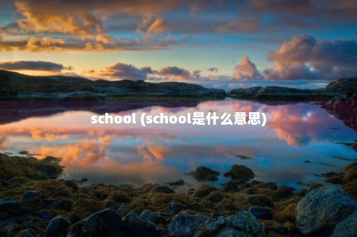 school (school是什么意思)