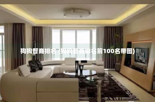 狗狗智商排名 (狗狗智商排名前100名带图)