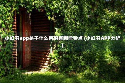 小红书app是干什么用的有哪些特点 (小红书APP分析)